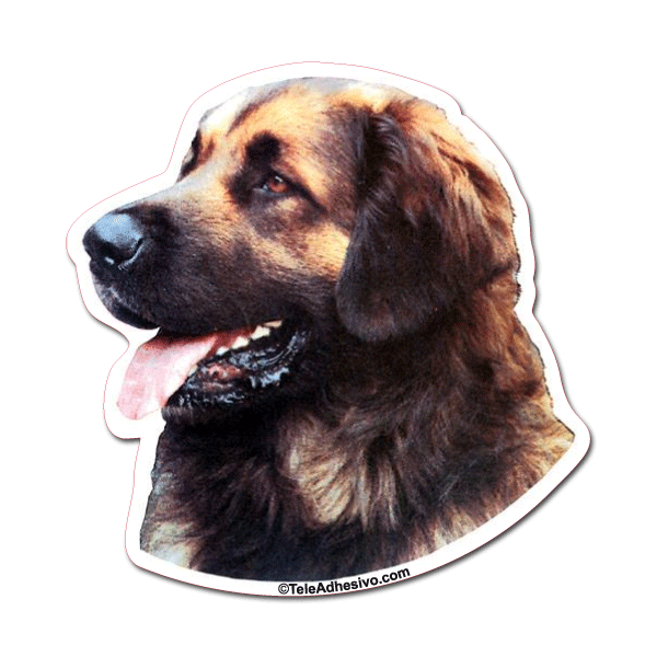 Aufkleber: Leonberger