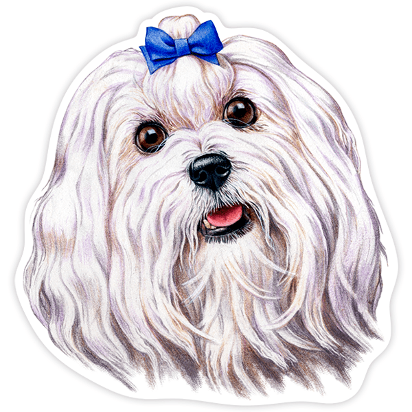 Aufkleber: Maltese