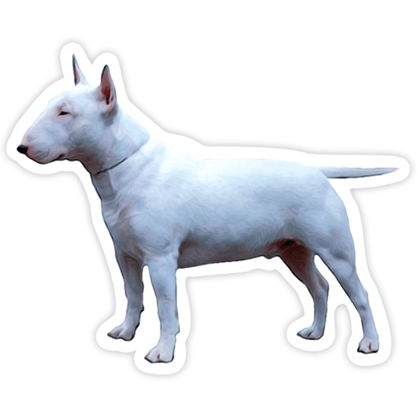 Aufkleber: Mini Bull Terrier