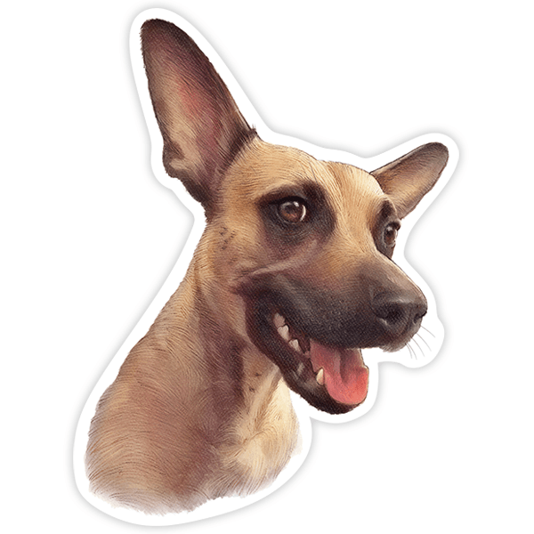 Aufkleber: Miniature Pinscher