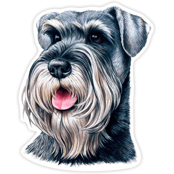 Aufkleber: Schnauzer