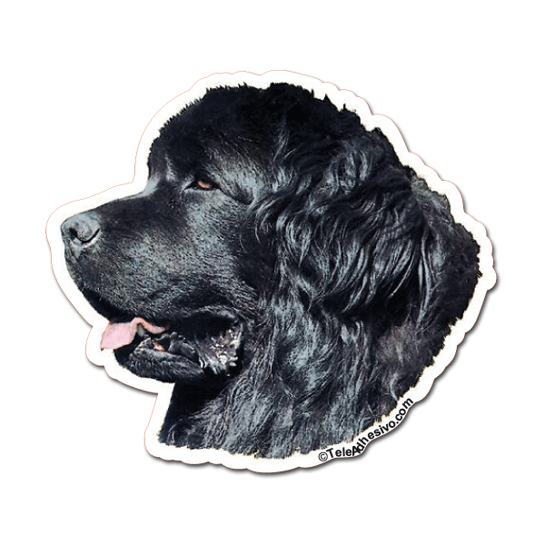 Aufkleber: Newfoundland