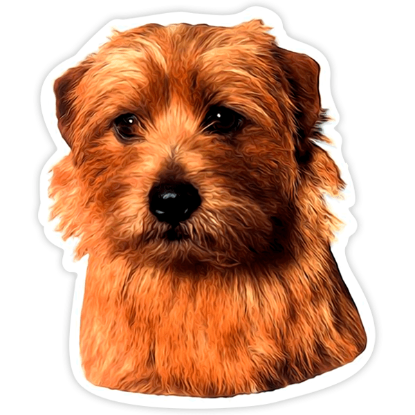 Aufkleber: Norfolk Terrier