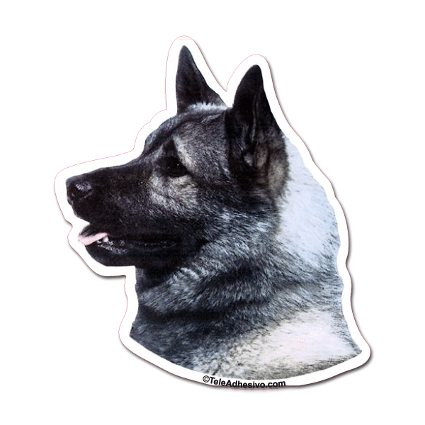 Aufkleber: Norwegian Elkhound