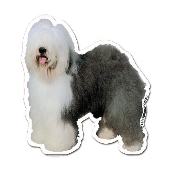 Aufkleber: Old English Sheepdog
