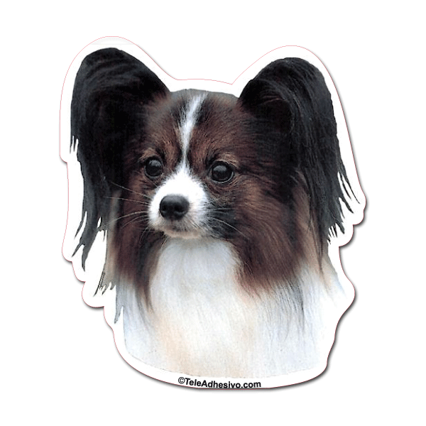 Aufkleber: Papillon
