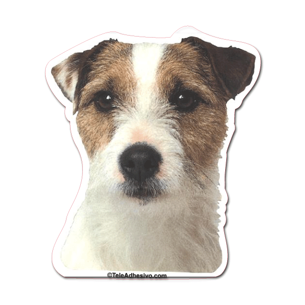 Aufkleber: Parson Russell Terrier