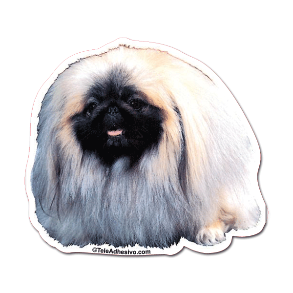 Aufkleber: Pekinese