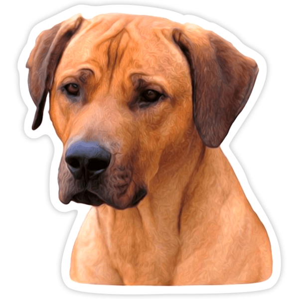 Aufkleber: Rhodesian Ridgeback