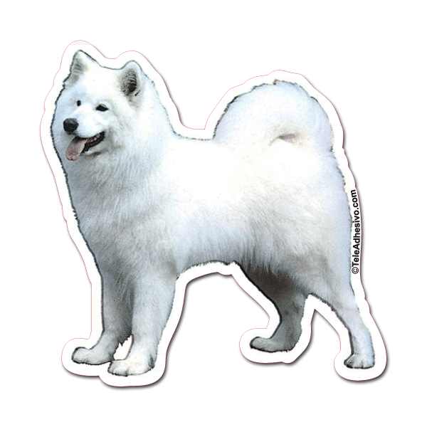 Aufkleber: Samoyed