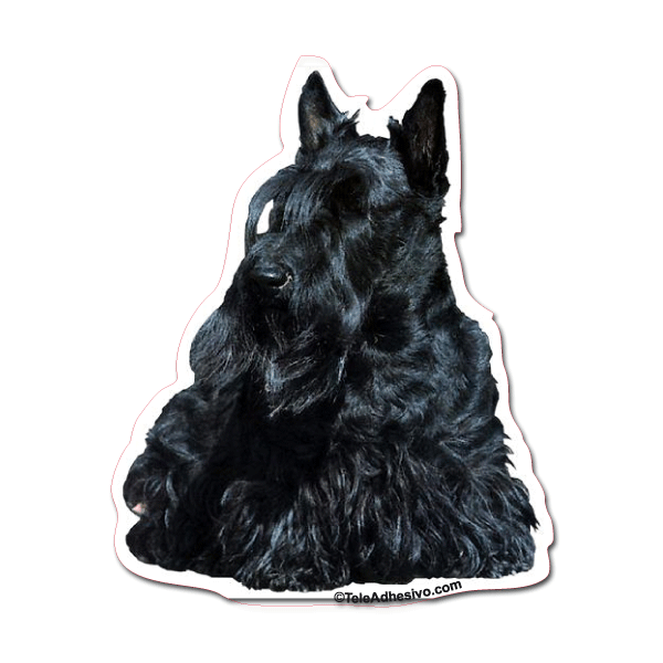 Aufkleber: Scottish Terrier