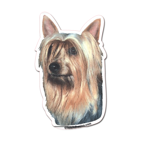 Aufkleber: Silky Terrier