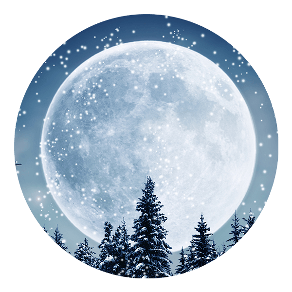 Wandtattoos: Vollmond im Wald