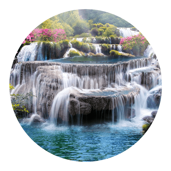 Wandtattoos: Natürliches Paradies