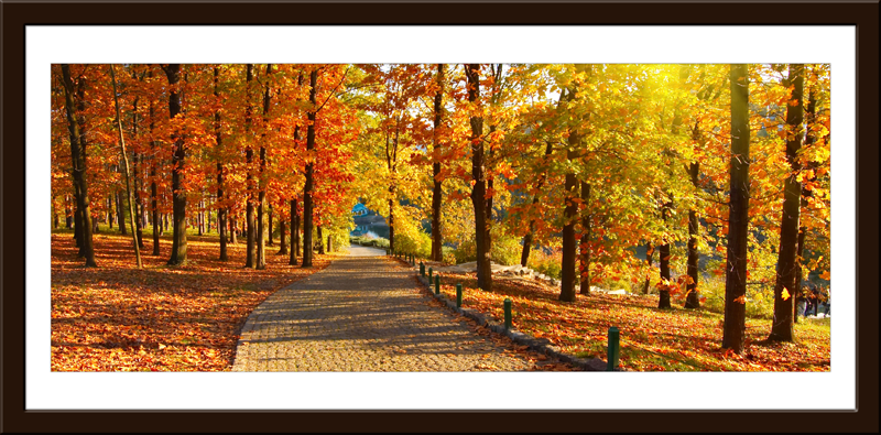 Wandtattoos: Herbst im Park