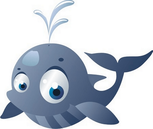 Kinderzimmer Wandtattoo: Whale