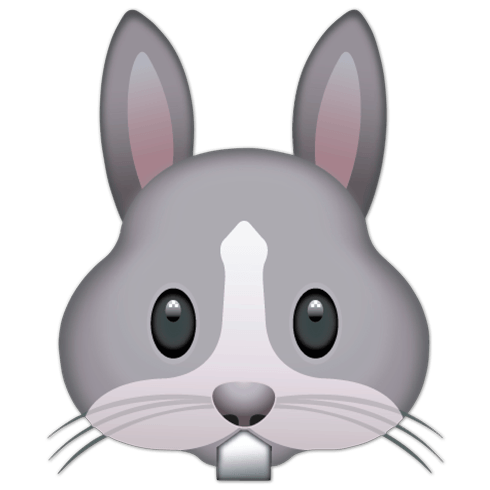 Wandtattoos: Kaninchengesicht 