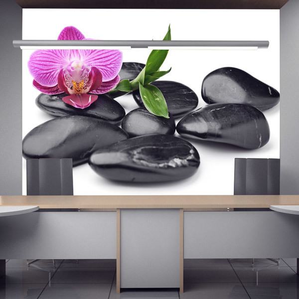 Fototapeten: Orchidee mit Steinen 0