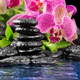 Fototapeten: Orchid und Basalt 2