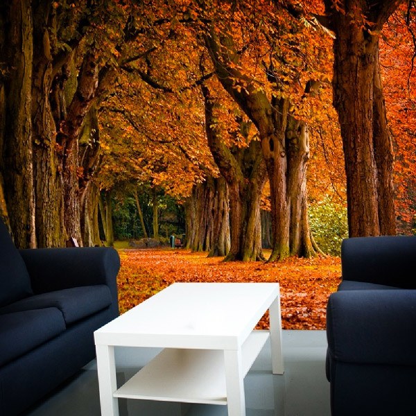 Fototapeten: Park im Herbst