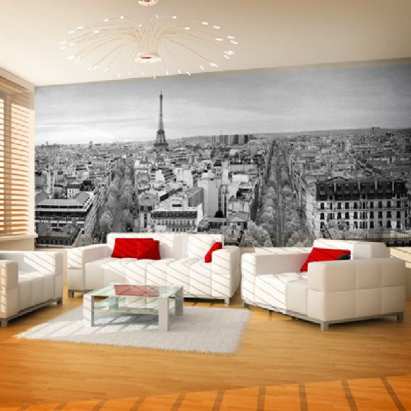 Fototapeten: Panoramisch von Paris in Schwarzweiss 0