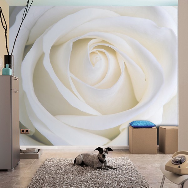 Fototapeten: Blumen 14