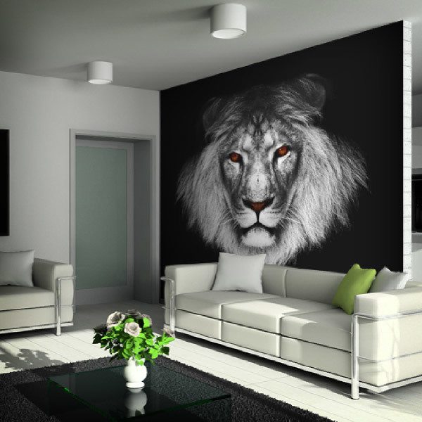 Fototapeten: Afrikanischer großer Löwe 0