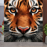 Fototapeten: Bengalischer Tiger 3
