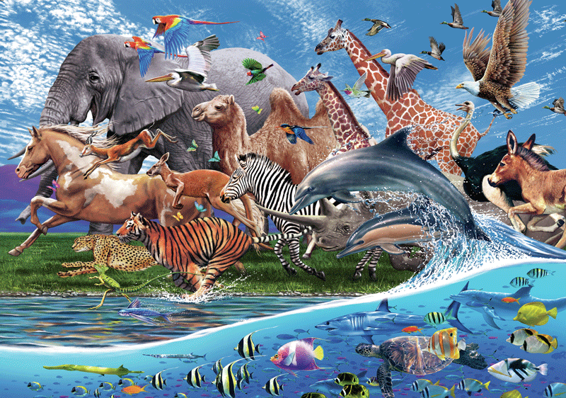 Fototapeten: Migration