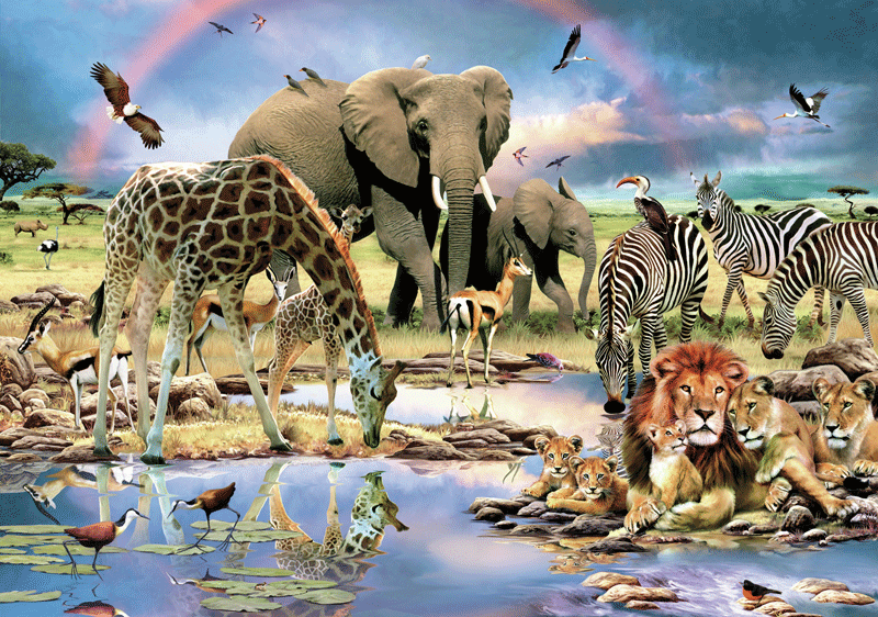 Fototapeten: Natur Sabana