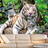 Fototapeten: Albino-Tiger 3
