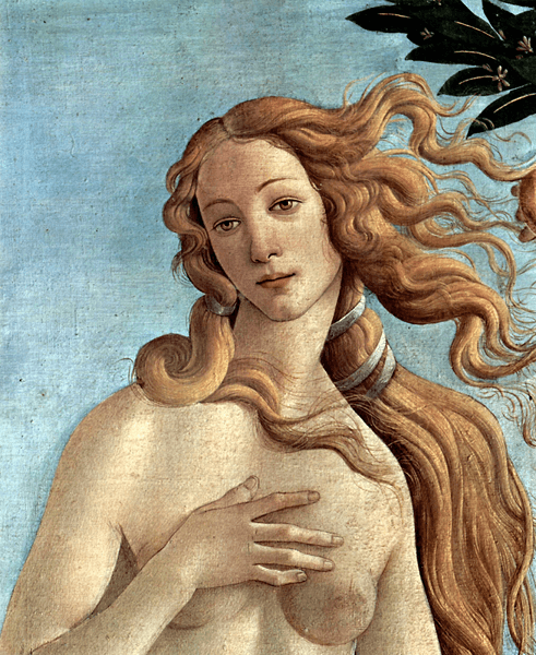 Fototapeten: Die Geburt der Venus (detail)_Botticelli