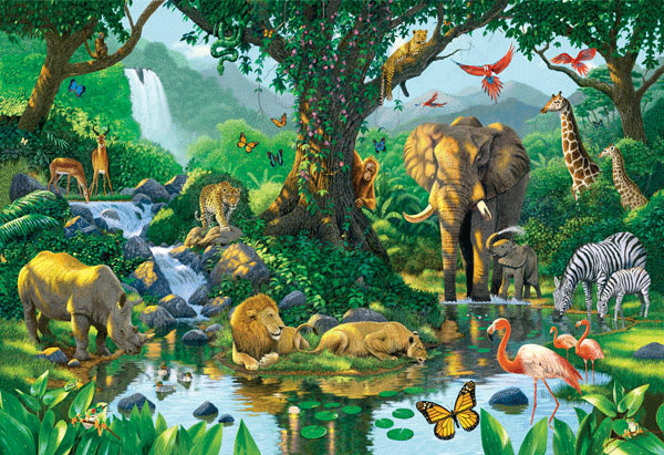 Fototapeten: Jungle Harmony