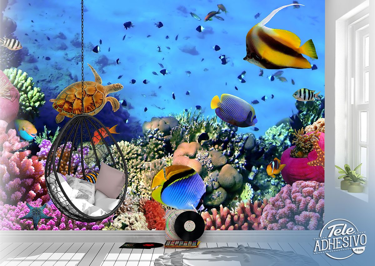 Fototapeten: Farben unter dem Meer