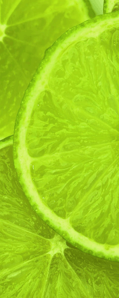 Wandtattoos: Limes