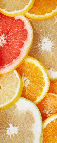 Wandtattoos: Naranjas y limones