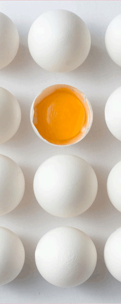 Wandtattoos: eggs