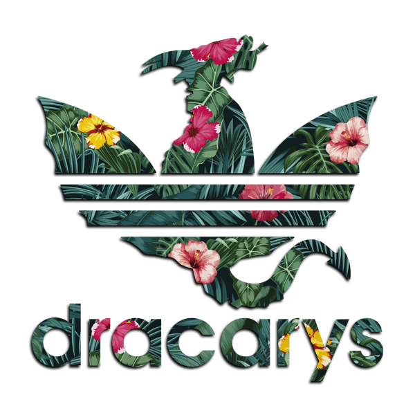 Wandtattoos: Dracarys