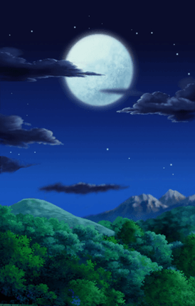 Wandtattoos: Wald bei Nacht