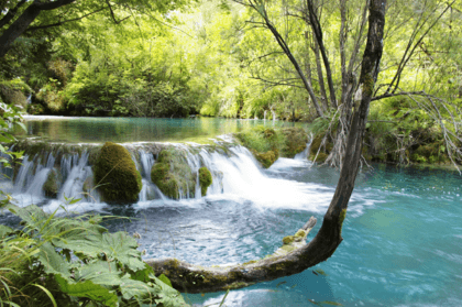 Wandtattoos: Vegetation und Fluss mit Wasserfall