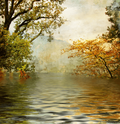 Wandtattoos: Natur im Herbst