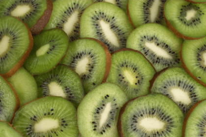 Wandtattoos: Kiwis