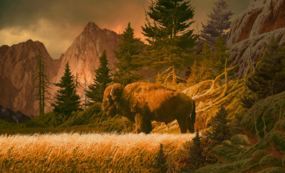 Wandtattoos: Buffalo