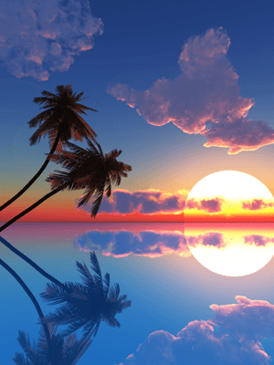 Wandtattoos: Coast