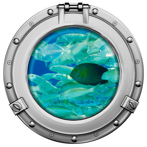 Wandtattoos: Schwarmfisch 2
