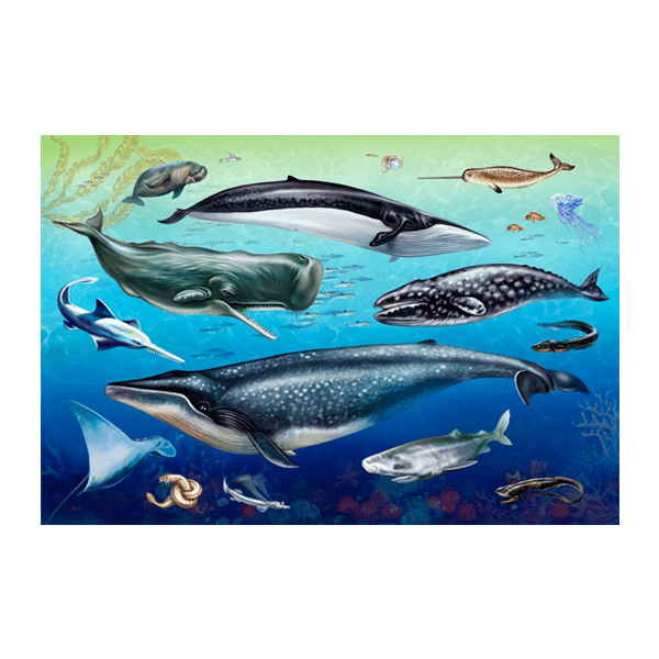 Wandtattoos: Ozeanische Fauna