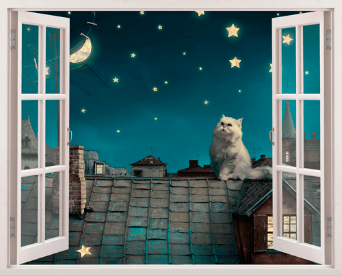 Wandtattoos: Eine Katze auf dem Dach
