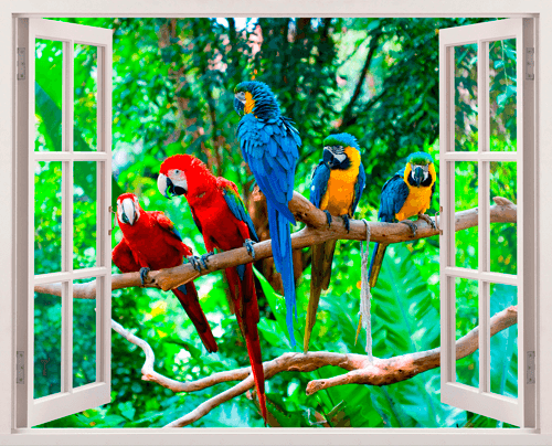 Wandtattoos: Papageien