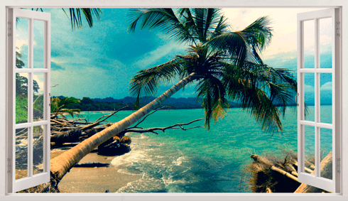 Wandtattoos: Panorama Palmen am Strand 1