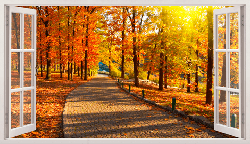 Wandtattoos: Panorama Straße Park im Herbst